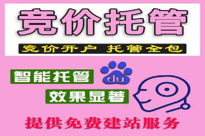 竞价开户推广案例市场分析